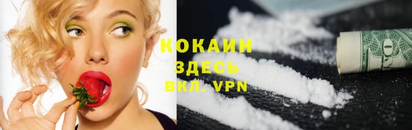 спиды Касимов