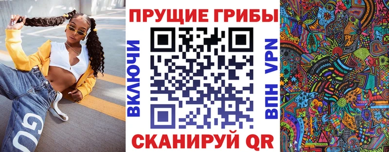 Купить где  Верхняя Пышма  Псилоцибиновые грибы прущие грибы 